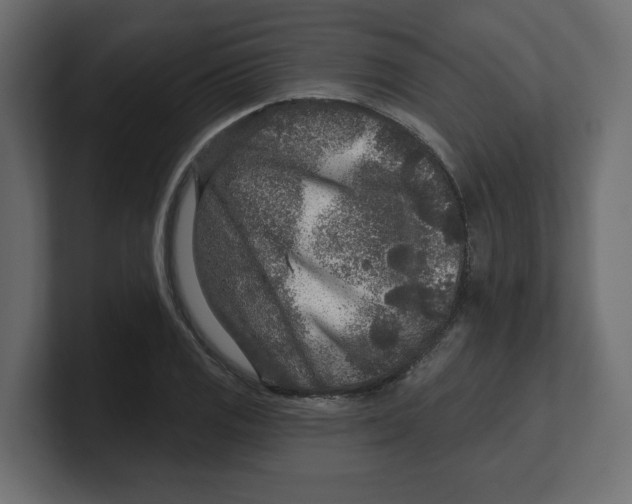 X0000100361125200806271418