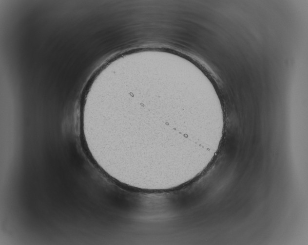 X0000100361126200806271418