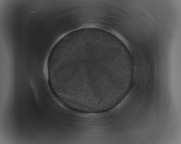 X0000100361127200806271418