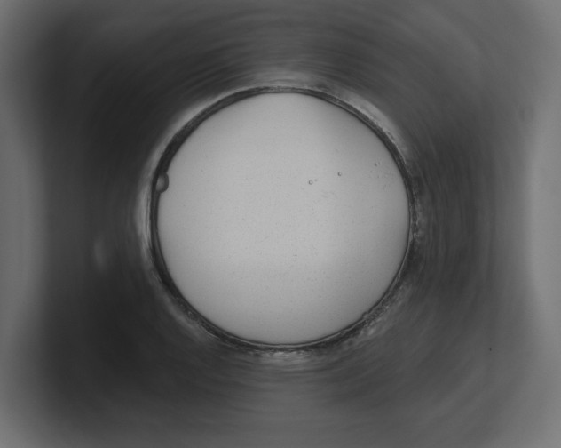 X0000100361128200806271418