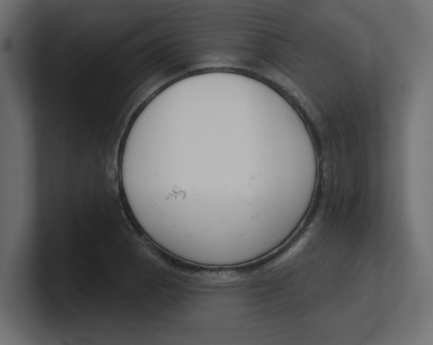 X0000100361129200806271418