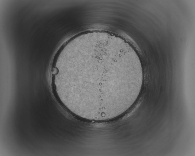 X0000100361130200806271418