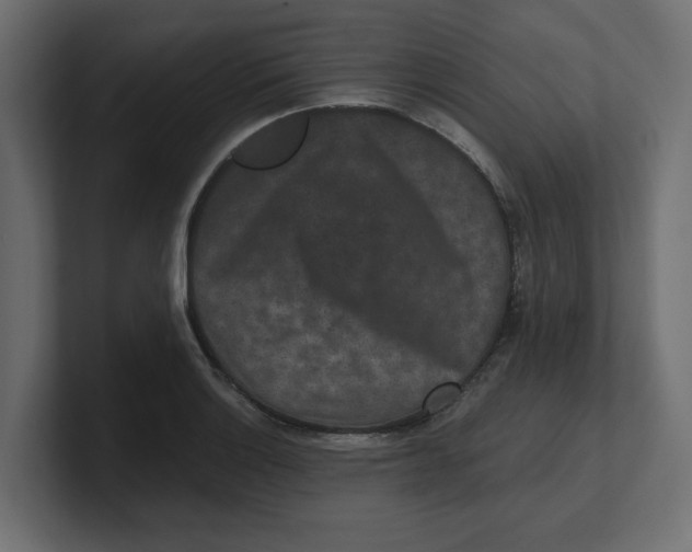 X0000100361132200806271418