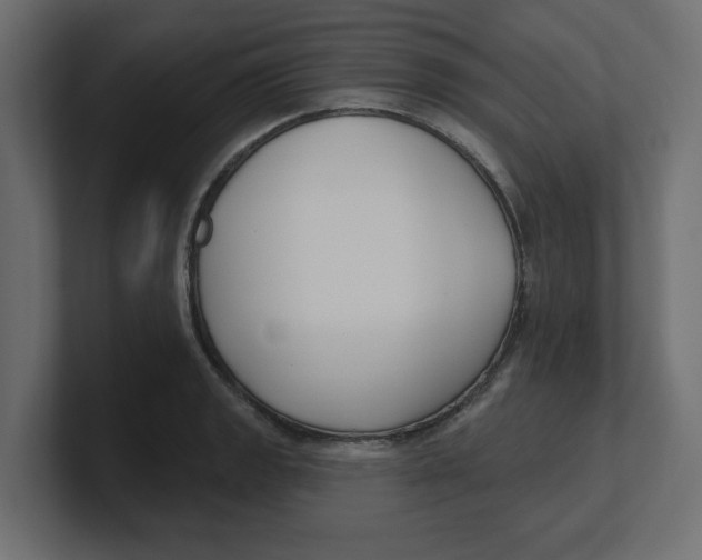 X0000100361133200806271418