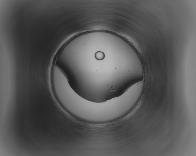 X0000100361134200806271418