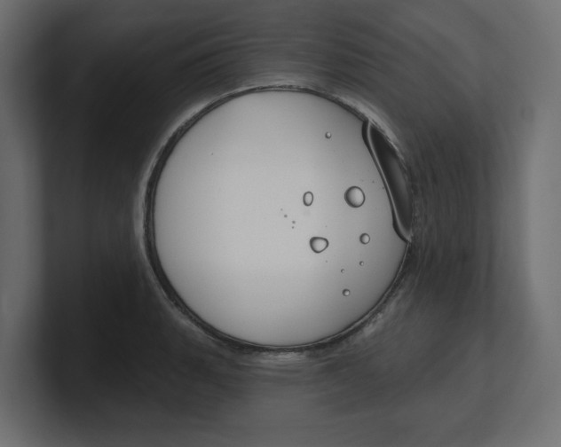 X0000100361135200806271418