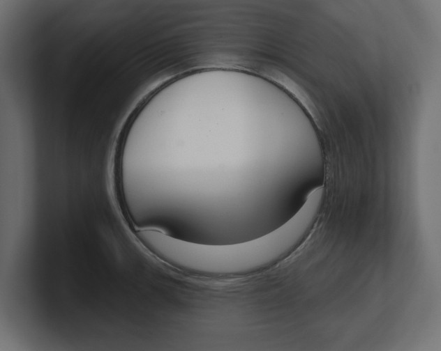 X0000100361139200806271418