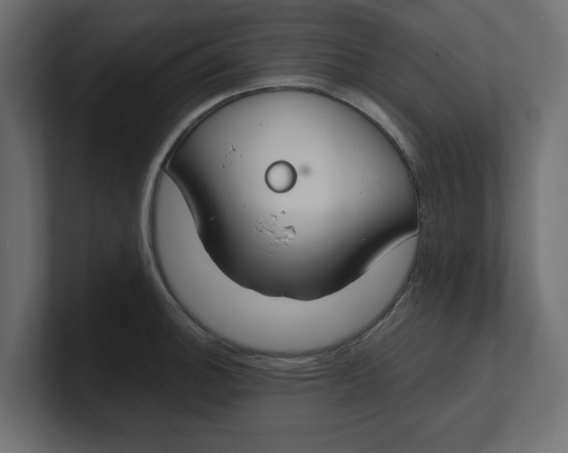 X0000100361140200806271418