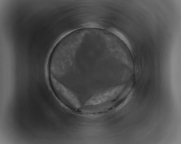 X0000100361141200806271418