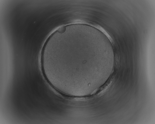 X0000100361142200806271418