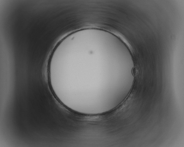 X0000100361143200806271418