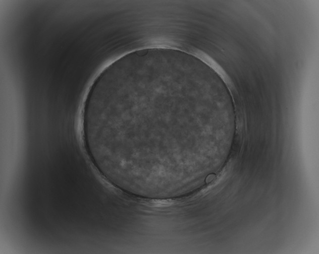 X0000100361144200806271418