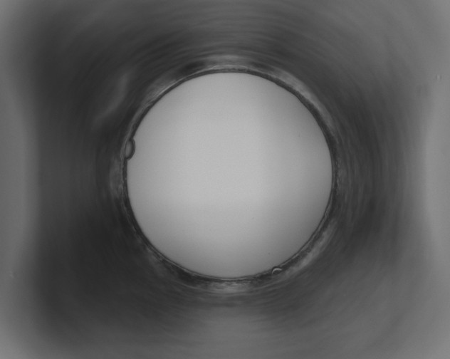 X0000100361145200806271418