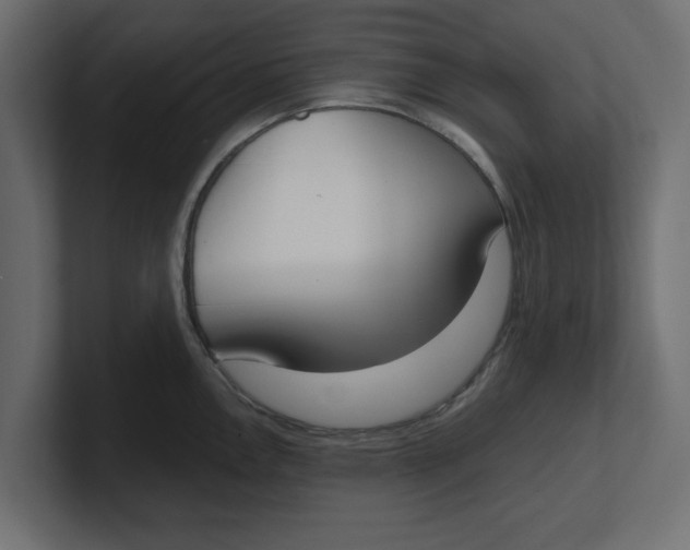 X0000100361146200806271418