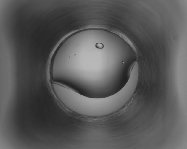 X0000100361148200806271418