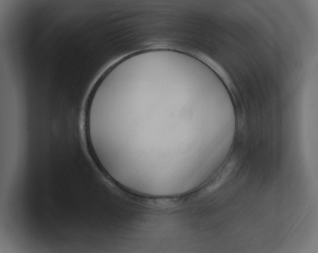 X0000100361149200806271418