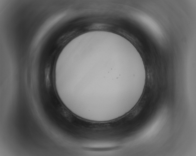 X0000100361150200806271418