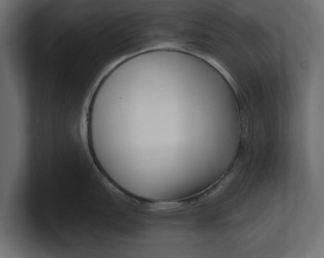 X0000100361151200806271418