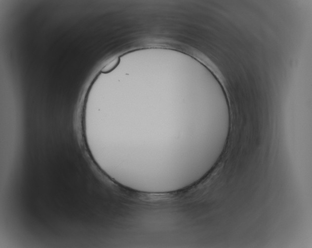 X0000100361152200806271418