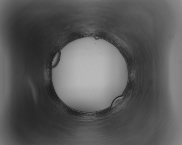 X0000100361156200806271417