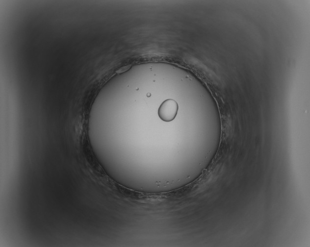 X0000100361157200806271417