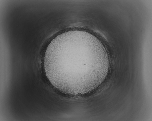 X0000100361159200806271417