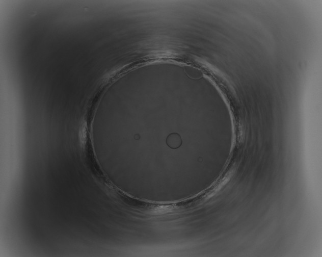 X0000100361161200806271417