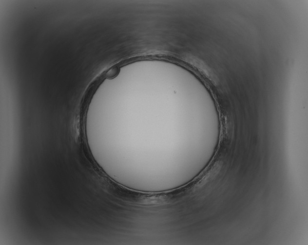 X0000100361165200806271417