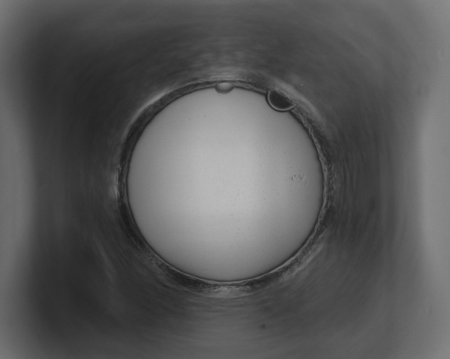 X0000100361166200806271417