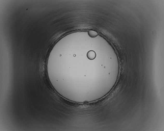 X0000100361169200806271417