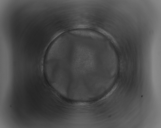 X0000100361170200806271417