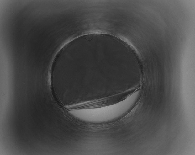 X0000100361173200806271417