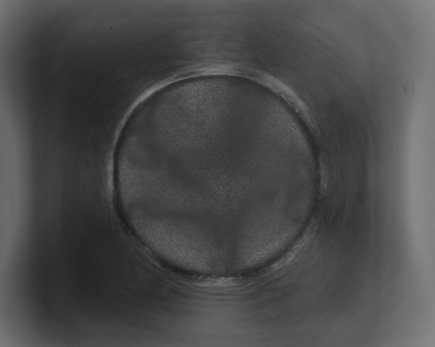 X0000100361174200806271417