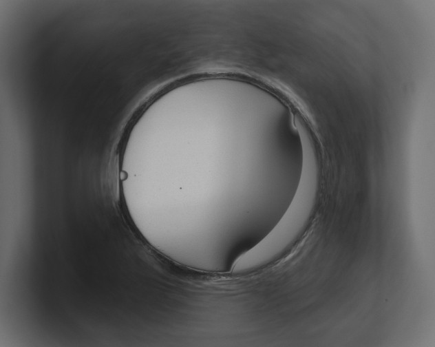 X0000100361175200806271417