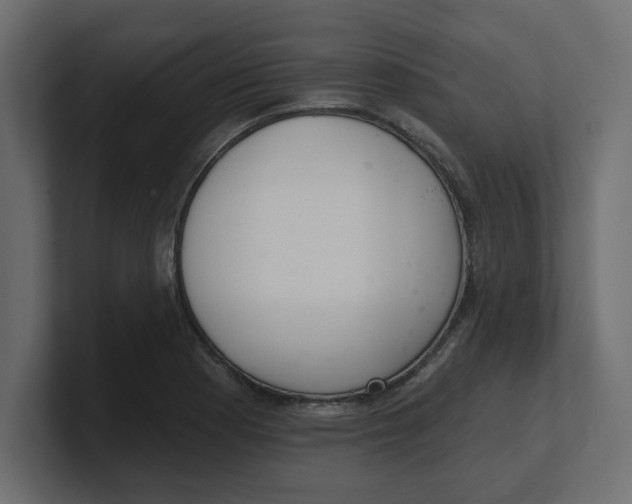 X0000100361177200806271417