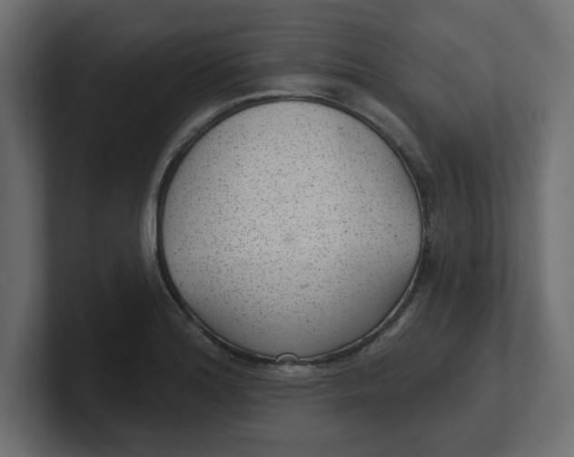 X0000100361180200806271417