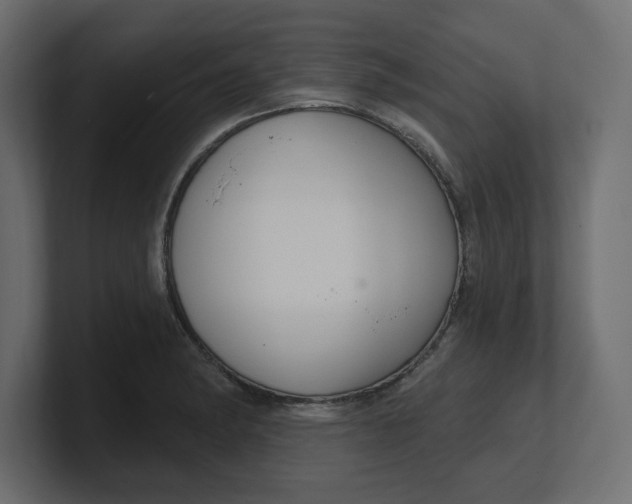 X0000100361182200806271417