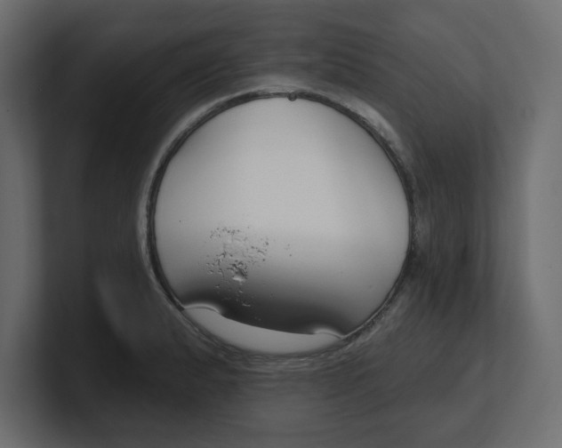 X0000100361183200806271417