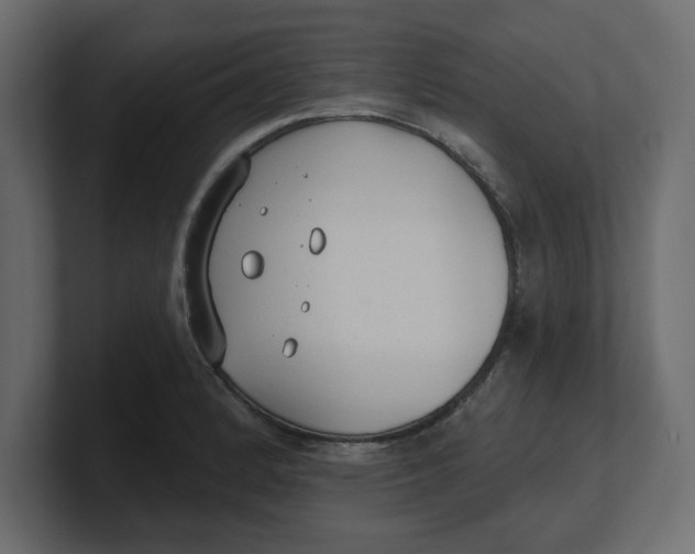 X0000100361184200806271417