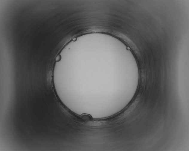 X0000100361185200806271417