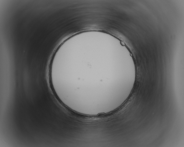 X0000100361187200806271417