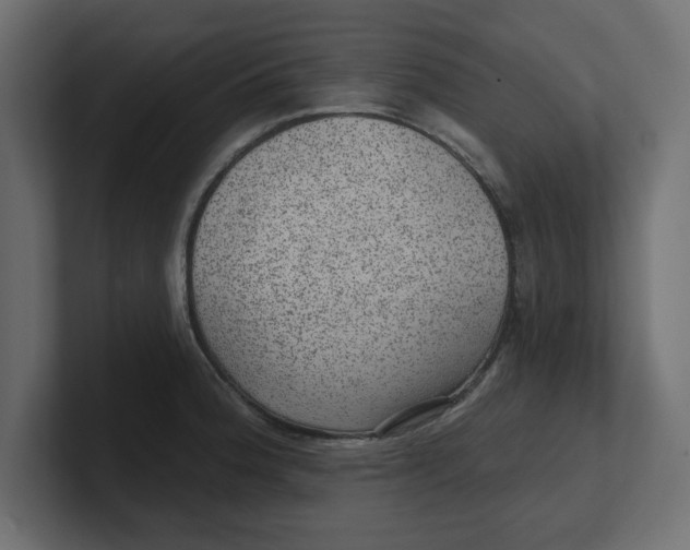 X0000100361188200806271417