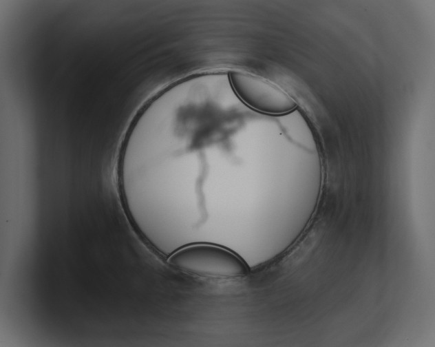 X0000100361189200806271417