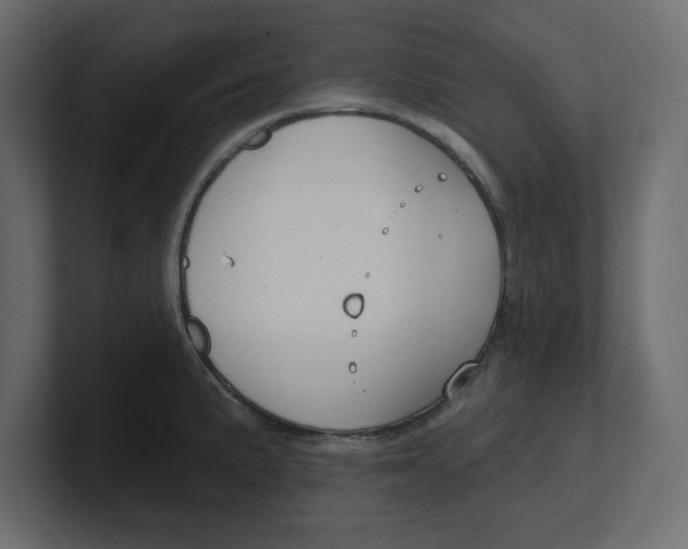 X0000100361191200806271417