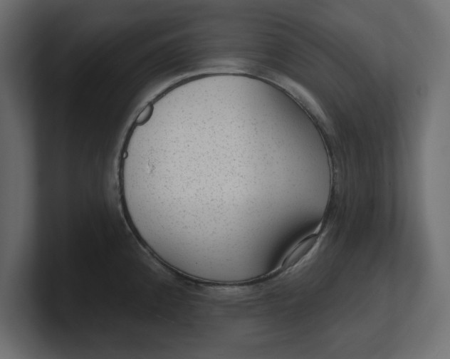 X0000100361192200806271417