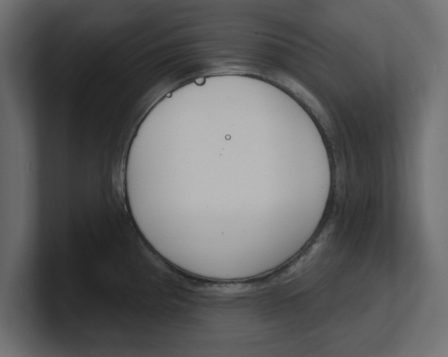 X0000100361193200806271417