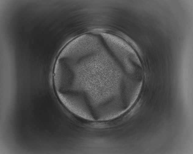 X0000100361194200806271417