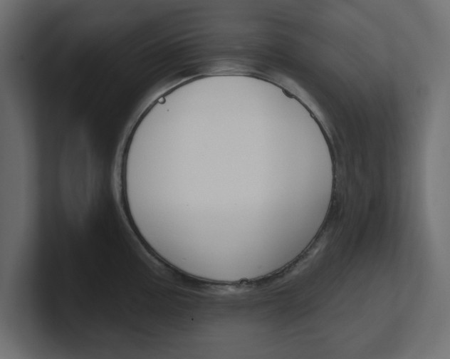 X0000100361195200806271417