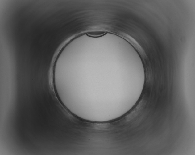 X0000100361196200806271417