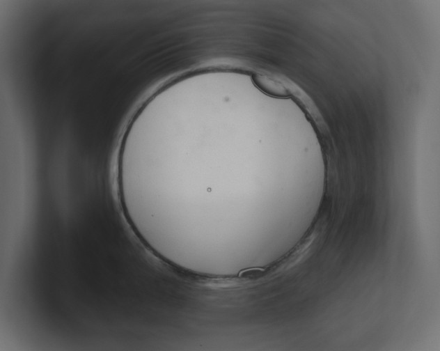 X0000100361199200806271417